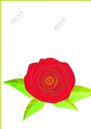 立体玫瑰花叶子红色绿色花朵矢量