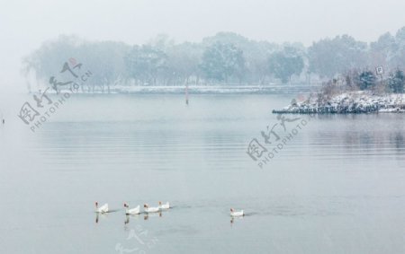 雪中太湖
