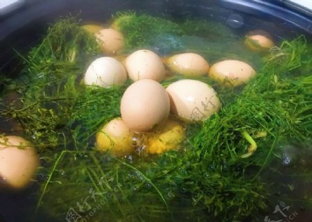 地菜煮蛋