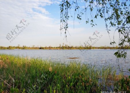 香榭湖湿地