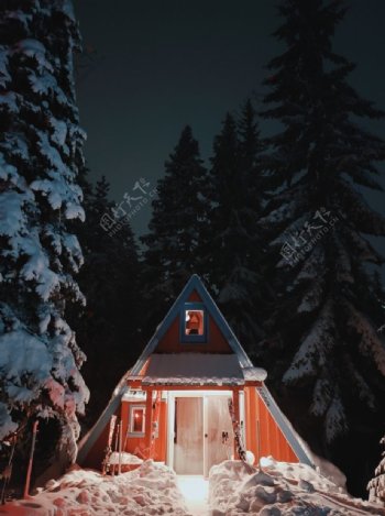 冬天丛林小屋