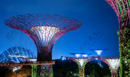 新加坡滨海湾花园擎天大树