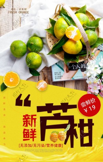 新鲜芦柑水果促销海报