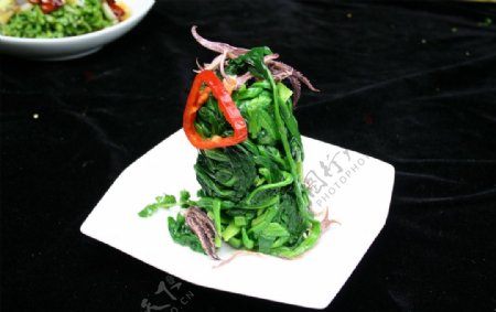 海兔炝菠菜