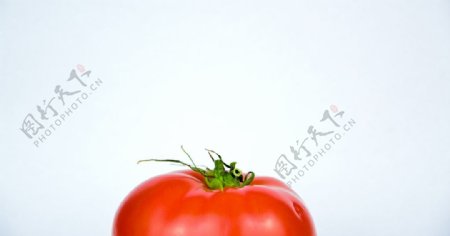 西红柿番茄圣女果