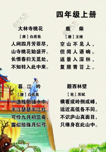 字母效果