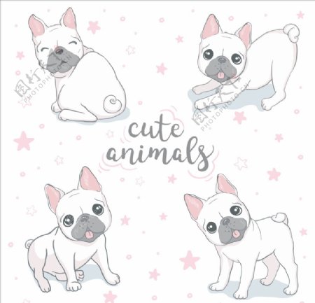 粉色狗插画