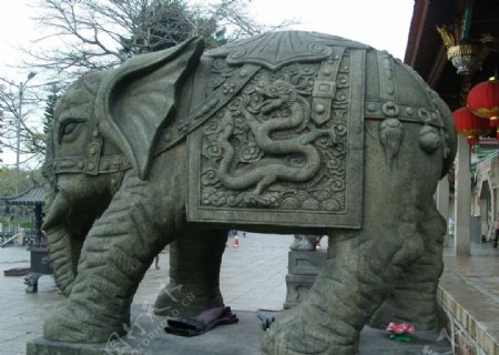 南普陀大象