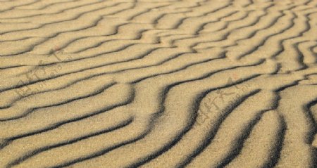沙漠肌理沙子