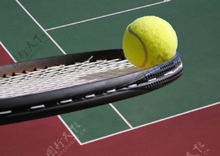 网球网拍