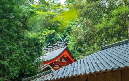 树林里的日本神社