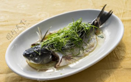 清蒸鲈鱼美食食材食物背景素材