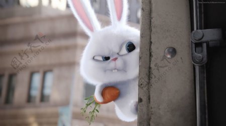 兔子卡通可爱胡萝卜