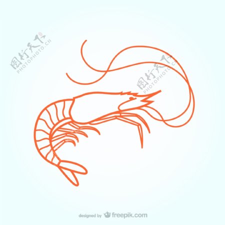 龙虾插图