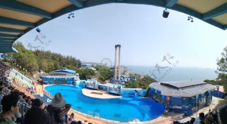 香港迪士尼海洋公园海豚