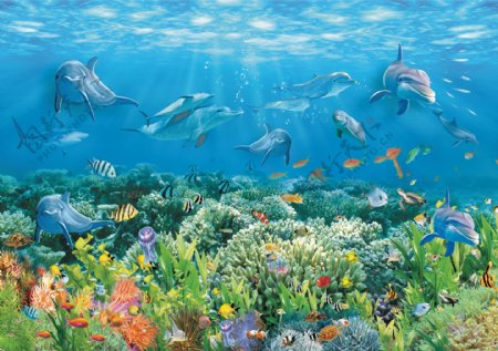 海底世界海豚装饰图