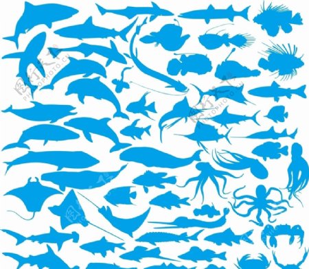 海洋动物剪影
