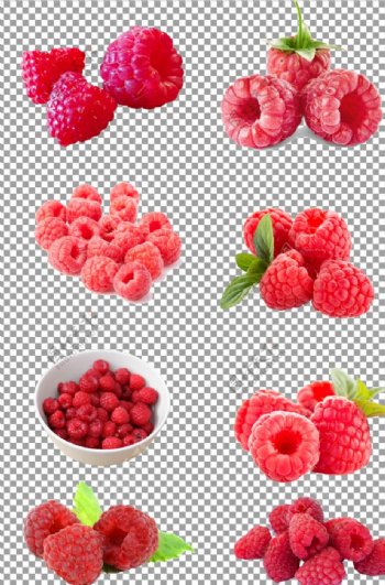 营养的树莓