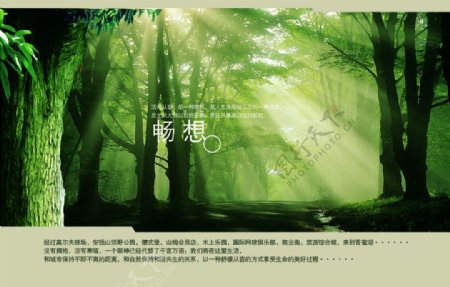 大气绿色浪漫自然宣传海报