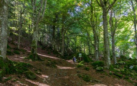 中世纪田园风景摄影