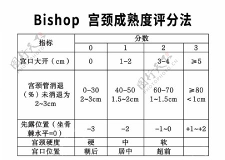 Bishop宫颈成熟度评分法
