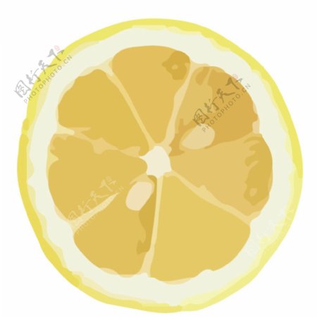 柠檬水果蔬菜切片局部展示矢量图