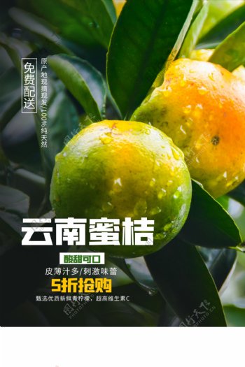 云南蜜桔水果果农活动宣传海报