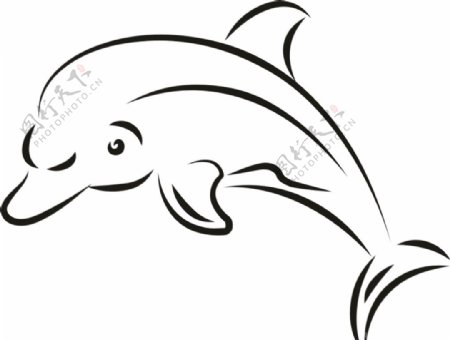 线描海豚