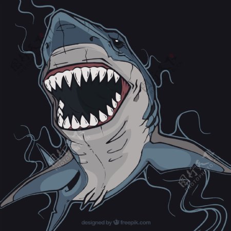 危险鲨鱼