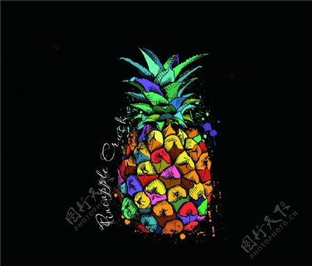 个性菠萝插画图片