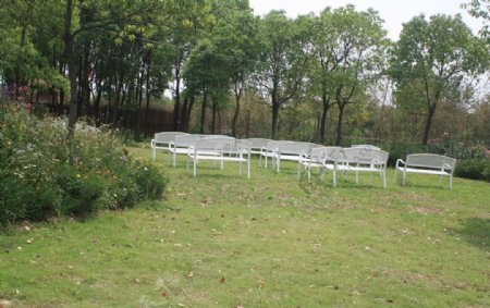 婚礼草坪图片
