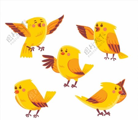 黄色鸟设计矢量图片