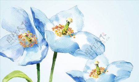 彩绘花卉背景墙图片