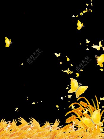 金色蝴蝶元素图片