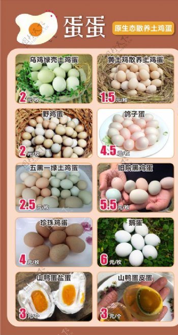 鸡蛋菜单标签图片