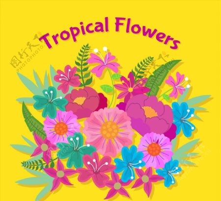 彩绘热带花卉花束图片