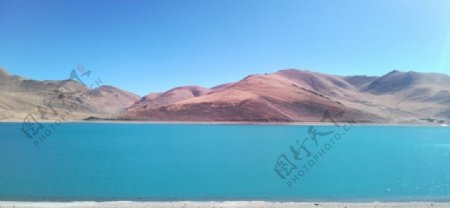 西藏羊湖风景图片