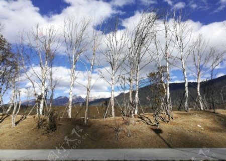 蓝天白云山坡树木风景图片