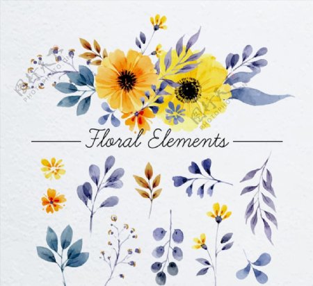 水彩绘花卉和叶子图片