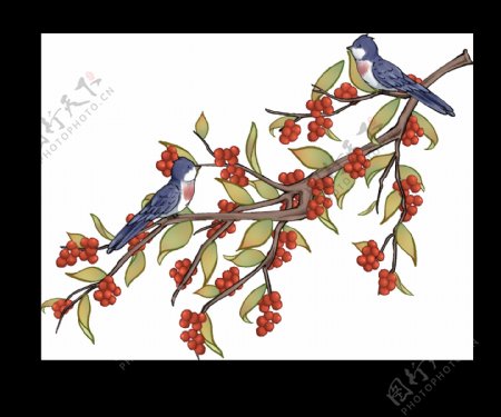 小鸟树叶插画卡通海报素材图片