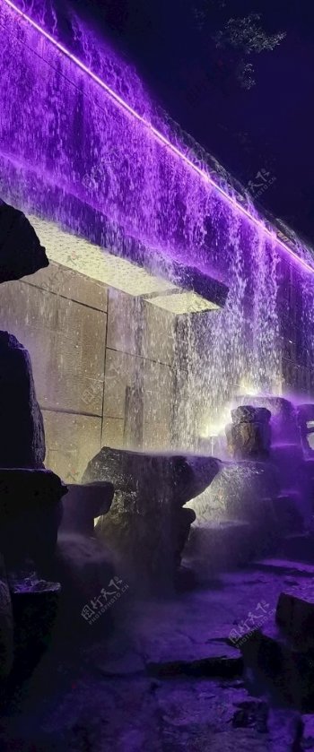 紫色的雨图片