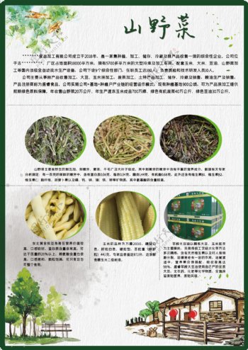 山野菜宣传单图片