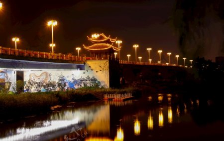 广陵大桥夜景图片