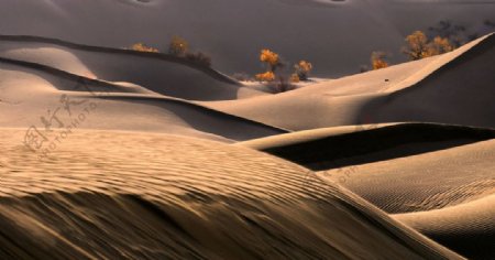秋季沙漠景观图片