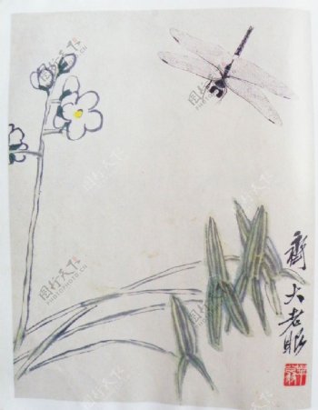 齐白石国画草花蜻蜓图片