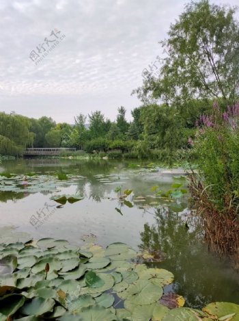 郑州植物园图片