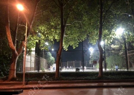 网球场夜景图片
