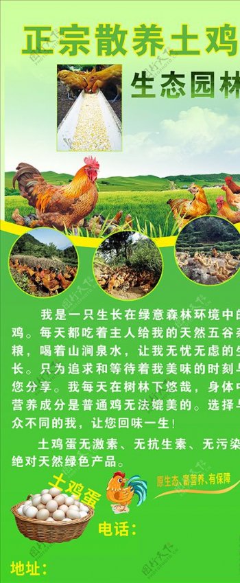 乡村土鸡养殖门型展架图片