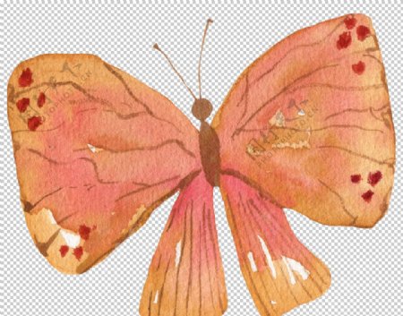 水彩绘画蝴蝶图案图片