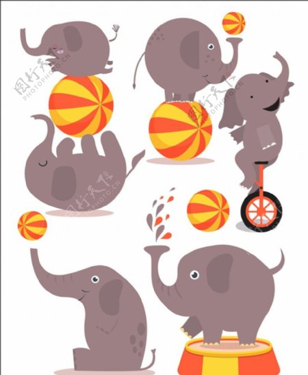 卡通大象设计图片